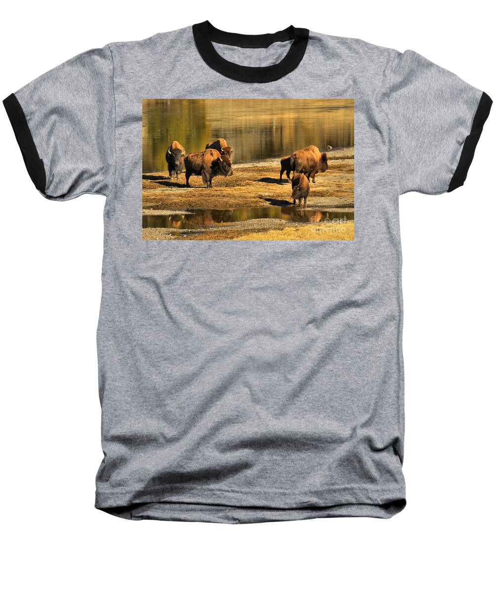 Bison Baseball T-Shirt featuring the photograph Discussing The River Crossing by Adam Jewell