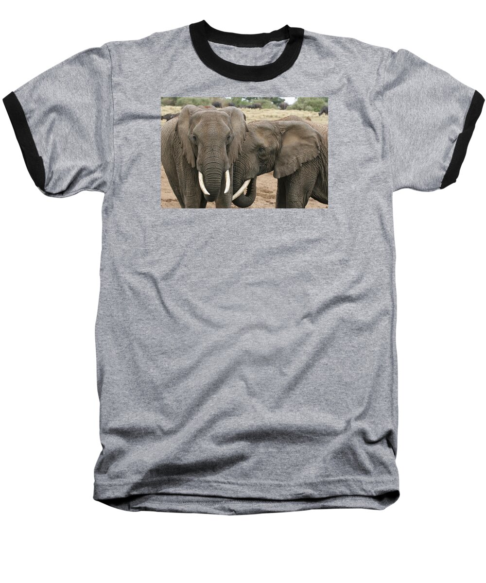 Gary Hall Baseball T-Shirt featuring the photograph Display of Affection by Gary Hall
