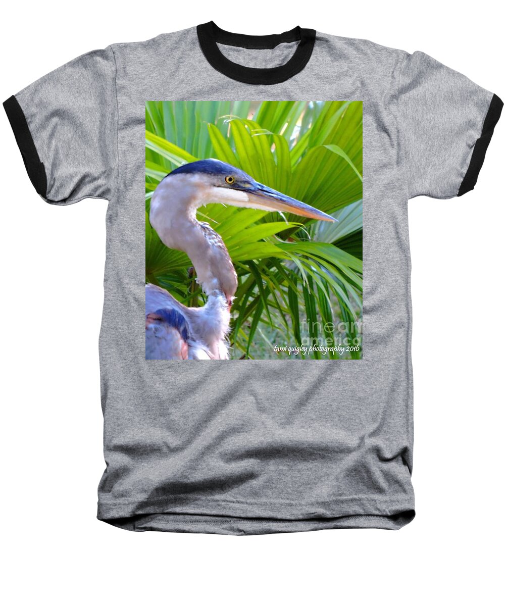 Great Blue Heron Baseball T-Shirt featuring the photograph Dixieland Blues by Tami Quigley