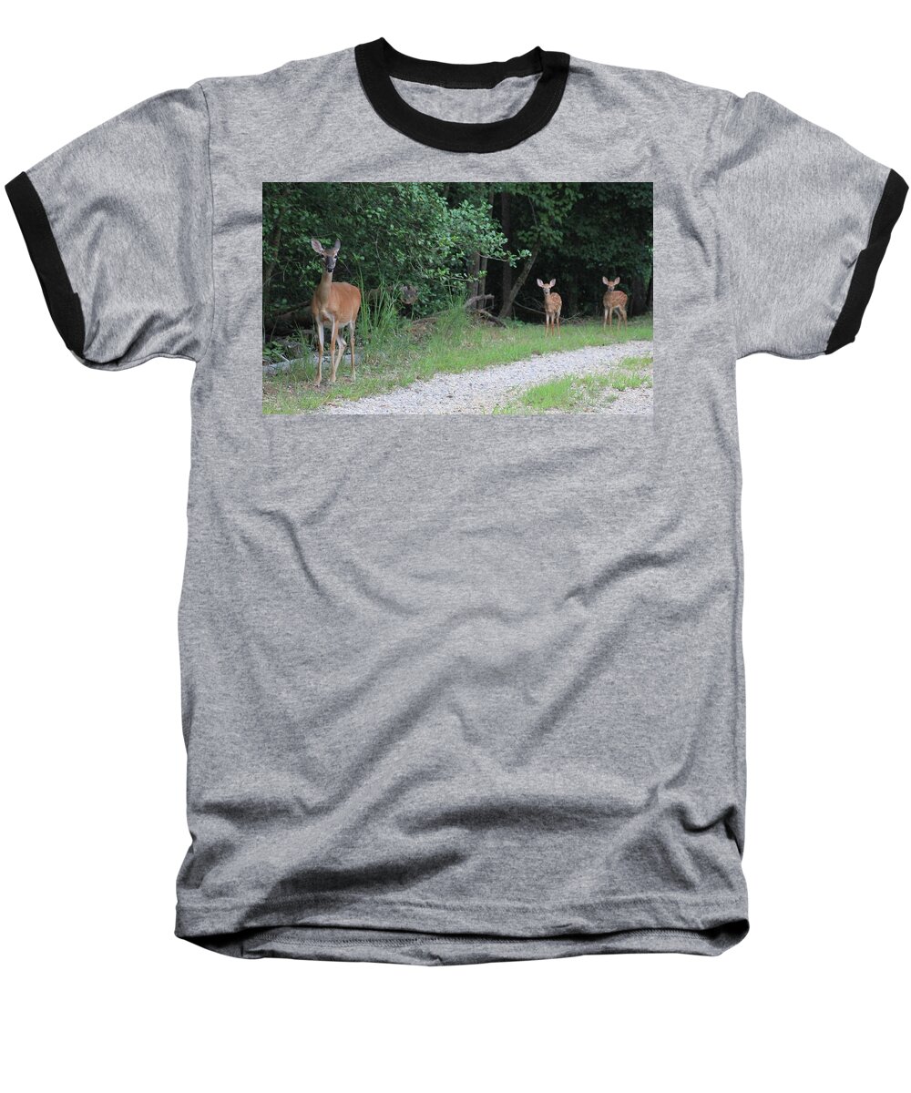 Deer Doe Twin Fawn Baseball T-Shirt featuring the photograph Doe With Twins by Jerry Battle