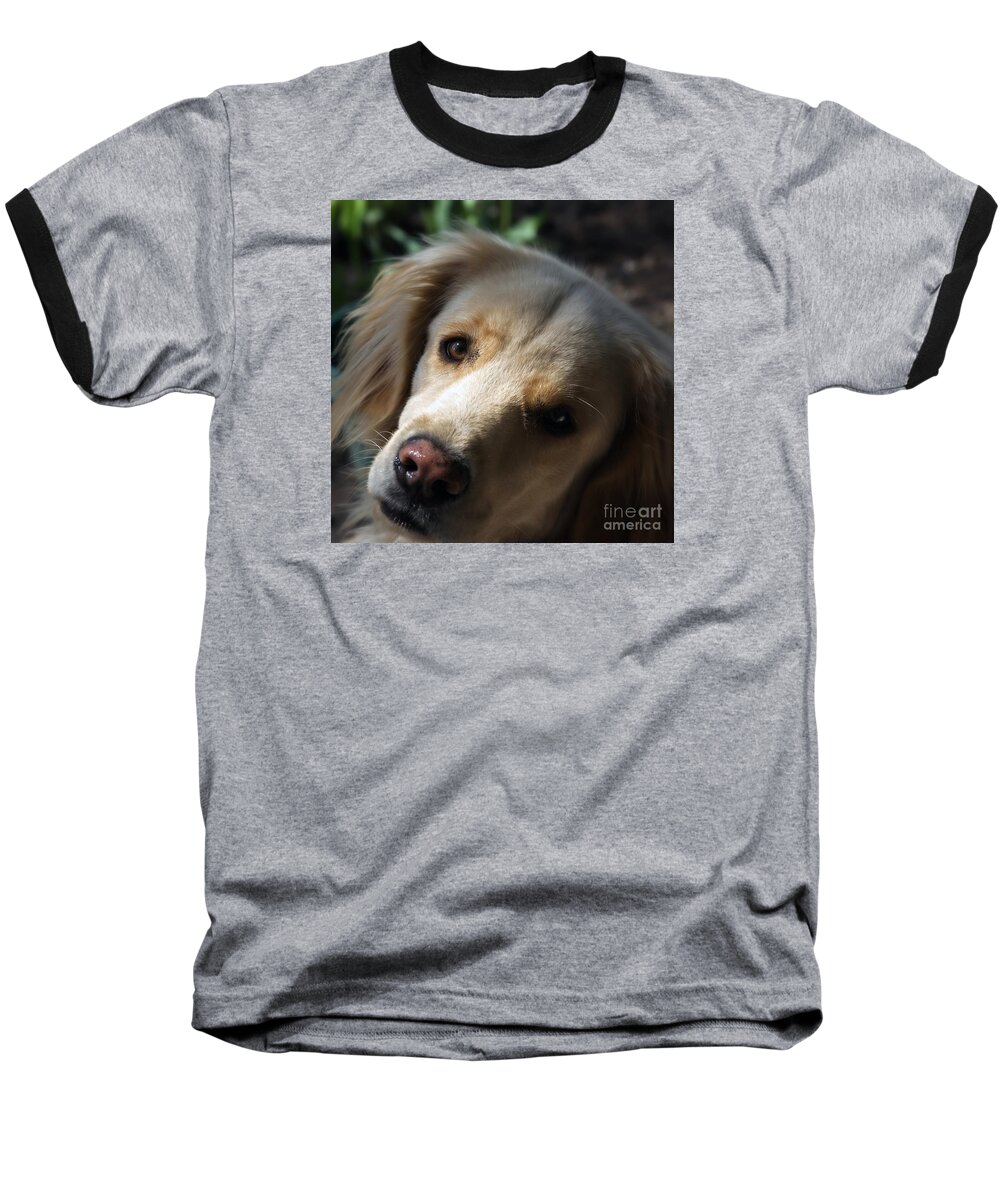 Frankjcasella Baseball T-Shirt featuring the photograph Dog Eyes by Frank J Casella