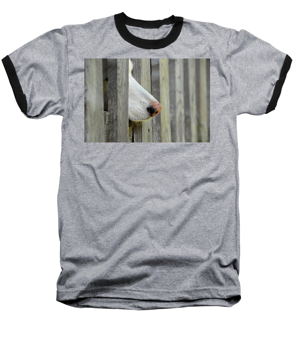 Adorable Baseball T-Shirt featuring the photograph Dog Nose by Joye Ardyn Durham