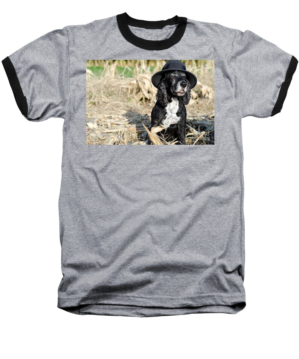 Dog Baseball T-Shirt featuring the photograph Dog with a hat by Mats Silvan