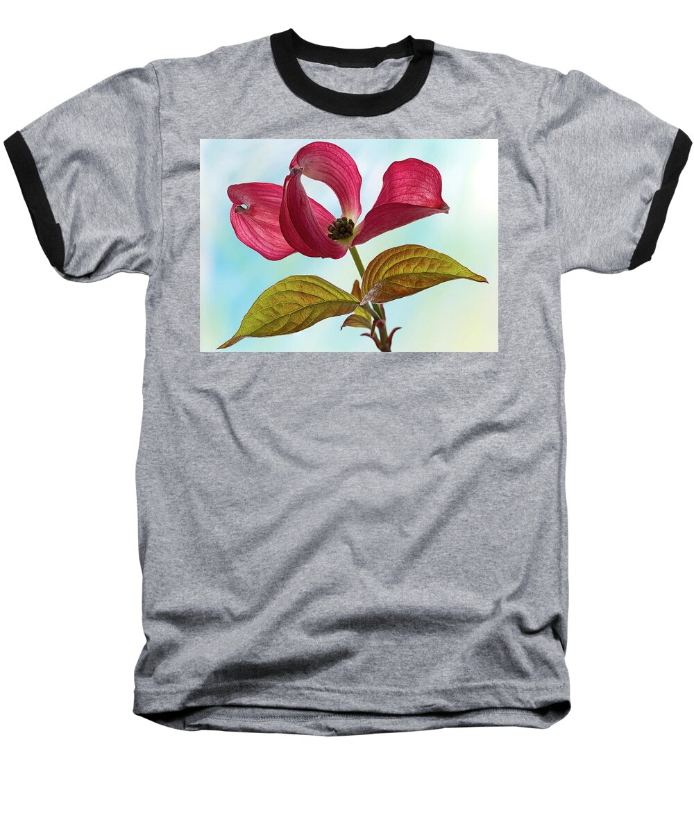 Floral Baseball T-Shirt featuring the photograph Dogwood Ballet 4 by Shirley Mitchell