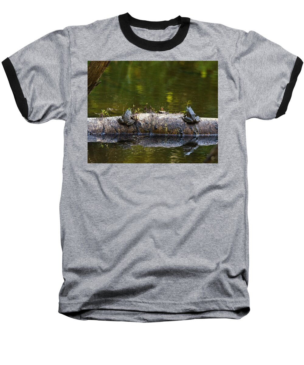Frogs Baseball T-Shirt featuring the photograph Don't You Love Mornings Like This by Sue Capuano