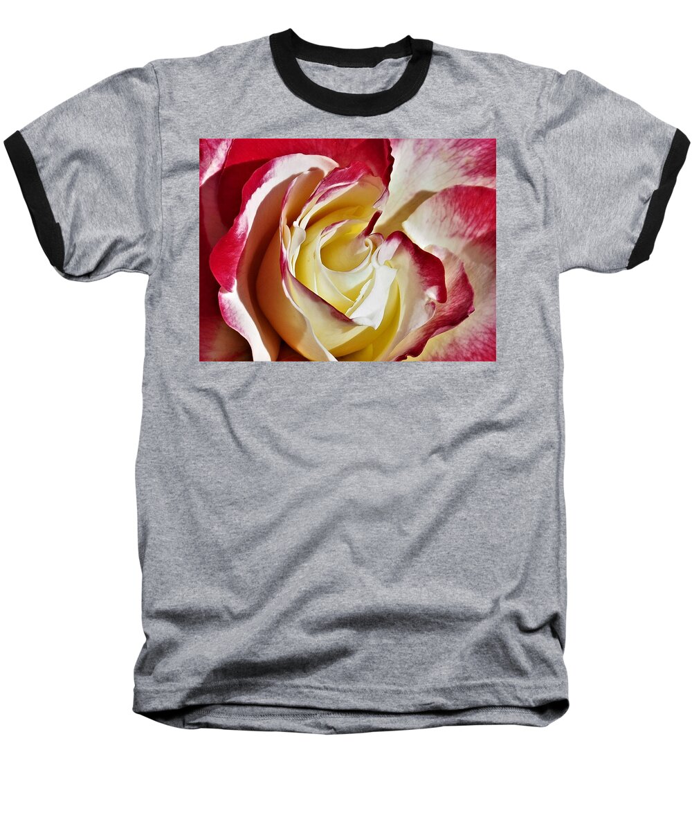 Rose Baseball T-Shirt featuring the photograph Double Delight Rose by Jerry Connally