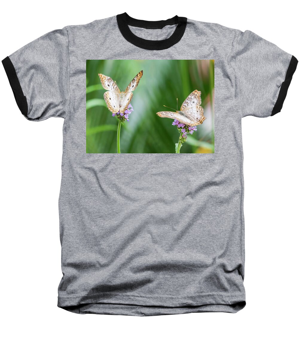 Butterfly Baseball T-Shirt featuring the photograph Double Vision by Cathy Donohoue