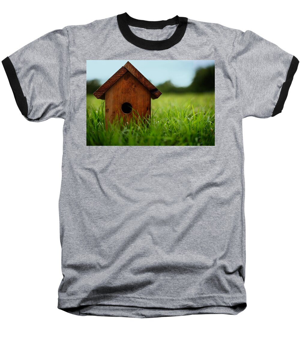 Birdhouse Baseball T-Shirt featuring the photograph Down To Earth by Laura Fasulo
