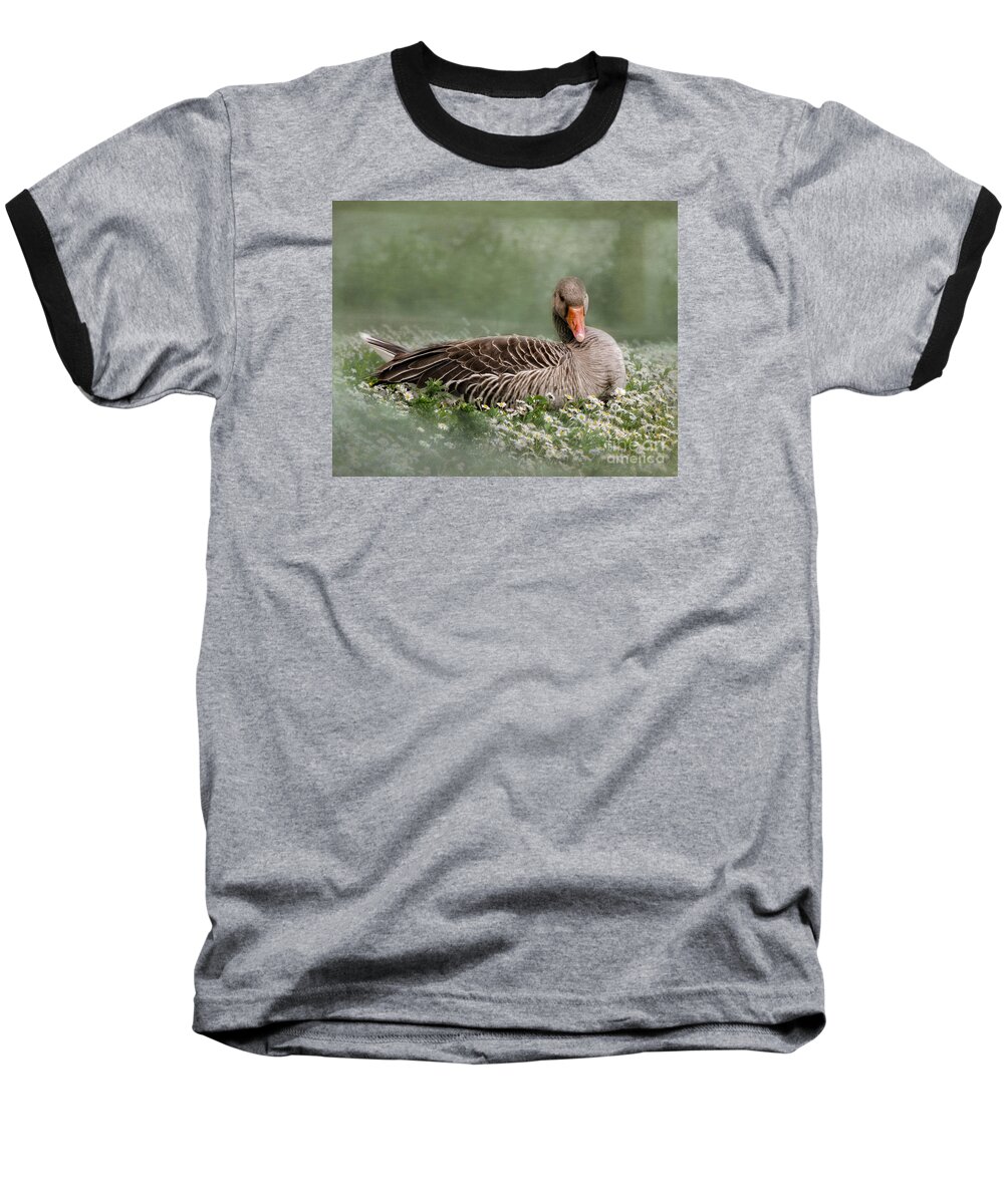 Good Baseball T-Shirt featuring the photograph Down With The Daisies 2 by Linsey Williams