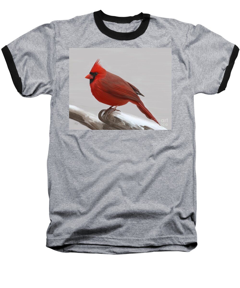 Cardinal Baseball T-Shirt featuring the painting Downy Winter Male by Rand Herron