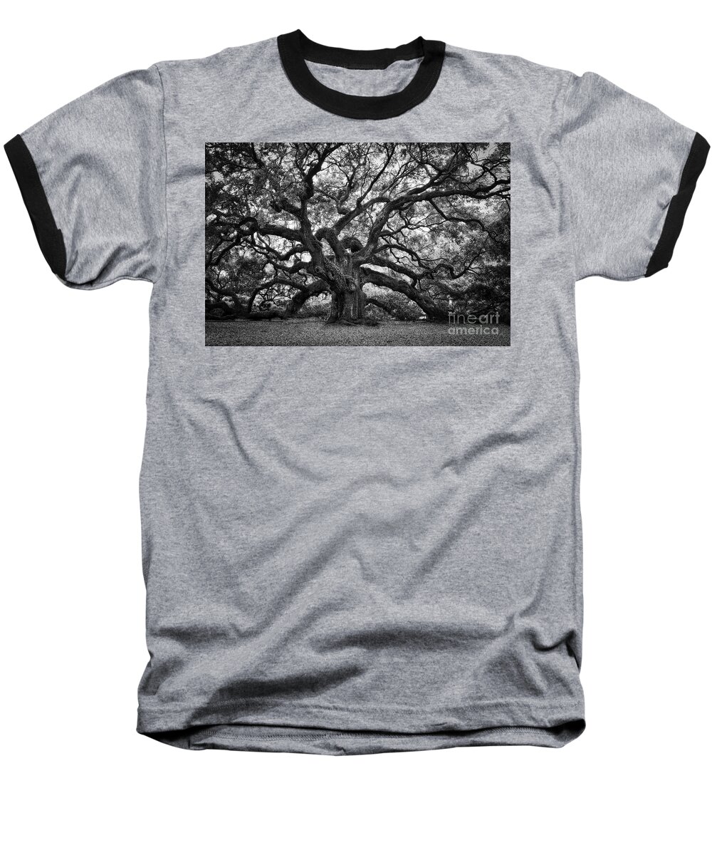 Angel Oak Baseball T-Shirt featuring the photograph Dramatic Angel Oak in Black and White by Carol Groenen