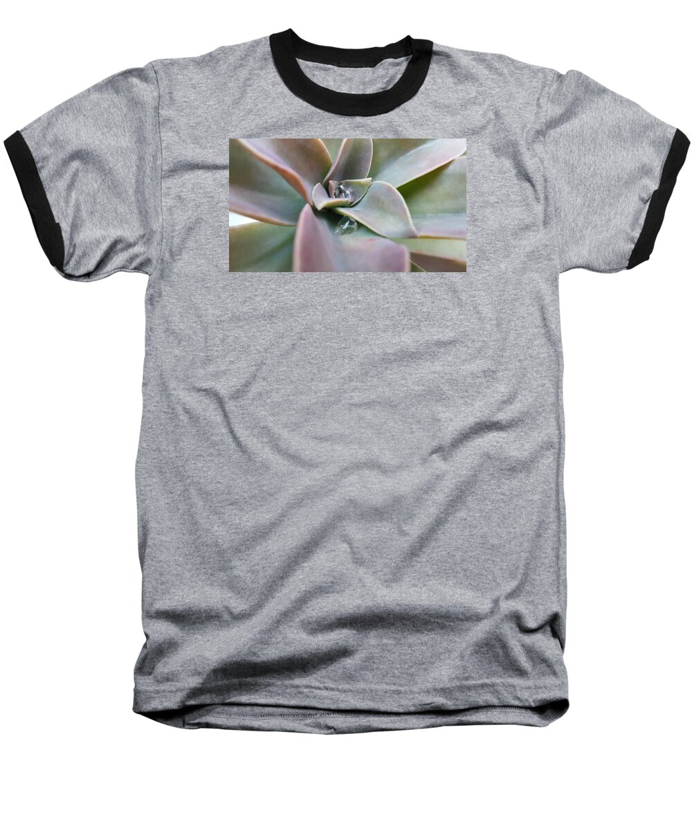 Water Baseball T-Shirt featuring the photograph Droplets on Succulent by Ian Kowalski