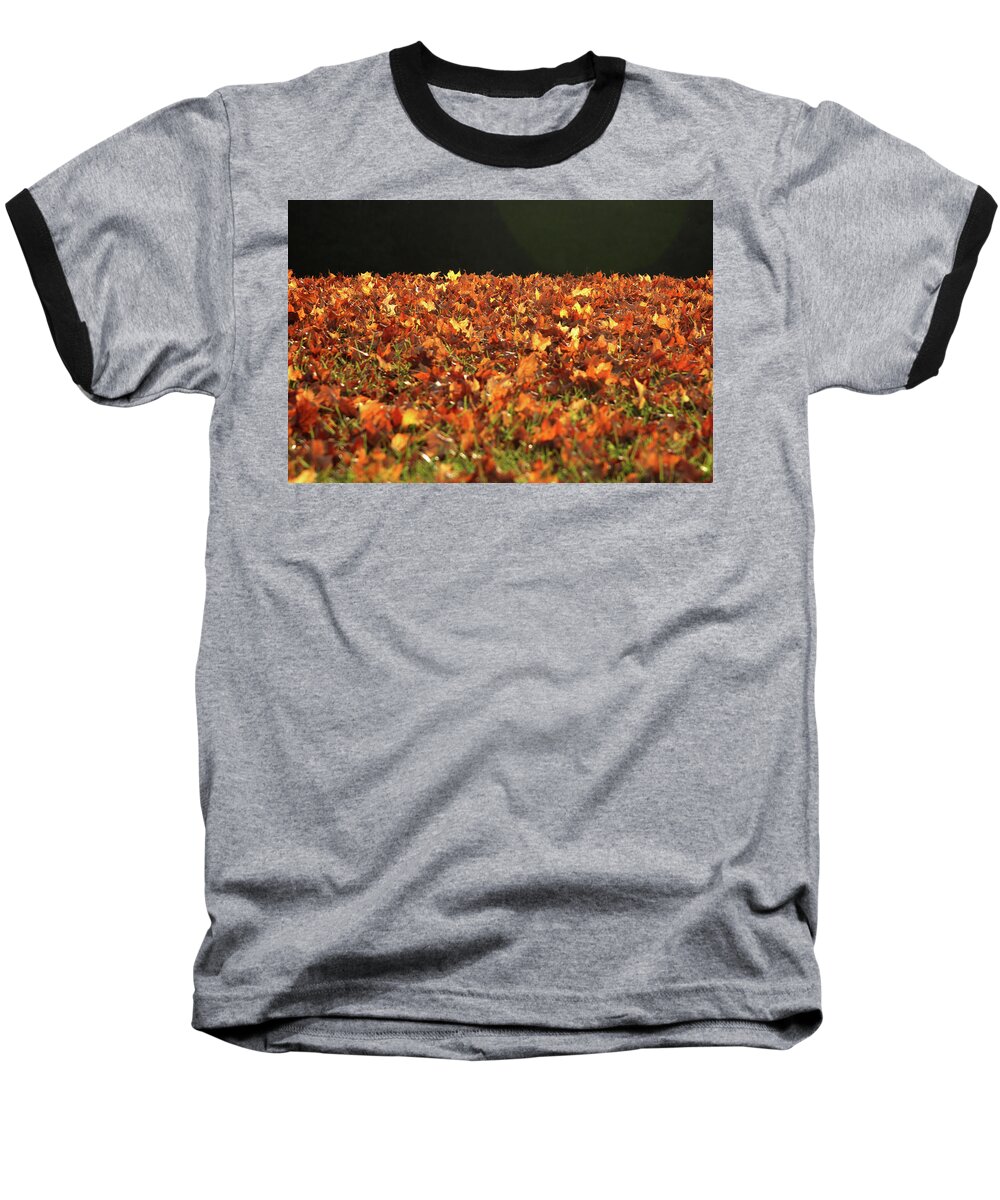 Dry Baseball T-Shirt featuring the photograph Dry maple leaves covering the ground by Emanuel Tanjala