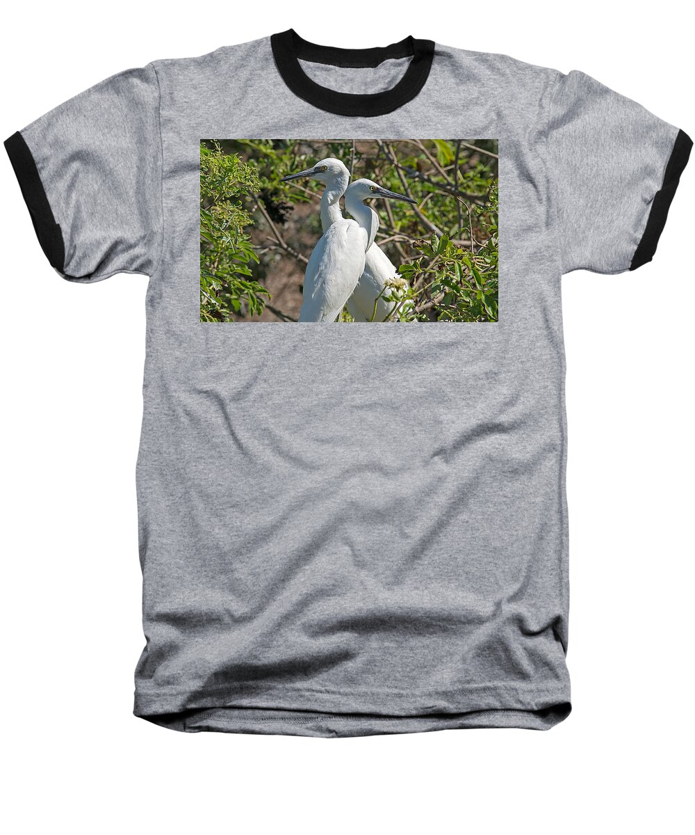 Wildlife Baseball T-Shirt featuring the photograph Dueling Egrets by Kenneth Albin