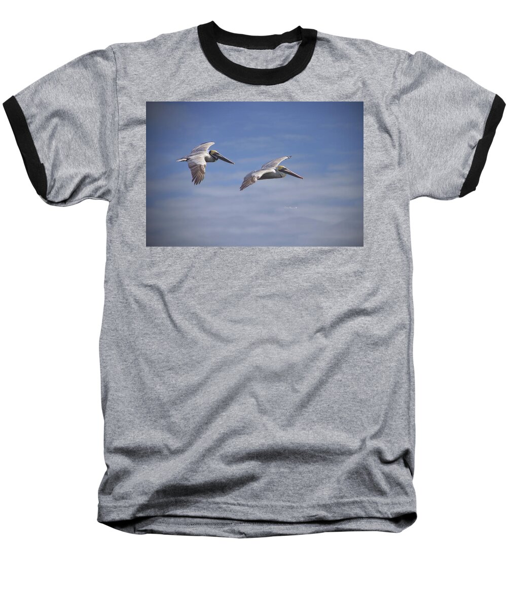 Pelicans Baseball T-Shirt featuring the photograph Dynamic Duo by Phil Mancuso
