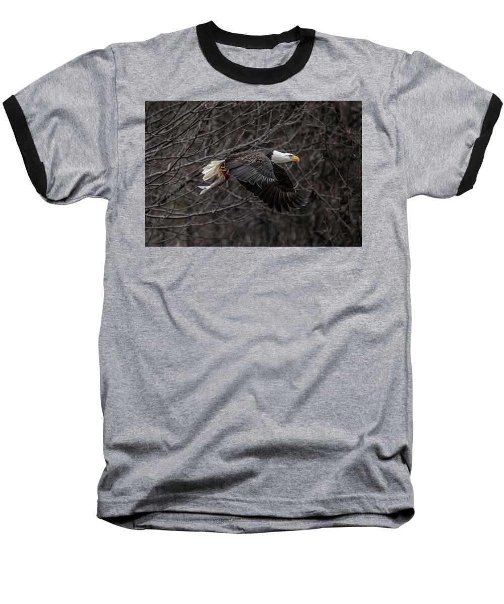 Bald Eagle Baseball T-Shirt featuring the photograph Eagle Fisher by Ray Congrove