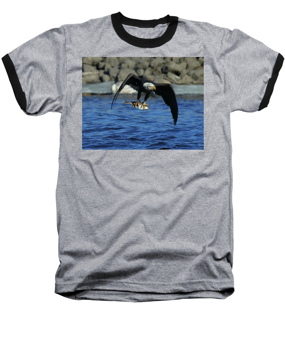 Eagle Baseball T-Shirt featuring the photograph Eagle with Fish Flying by Coby Cooper