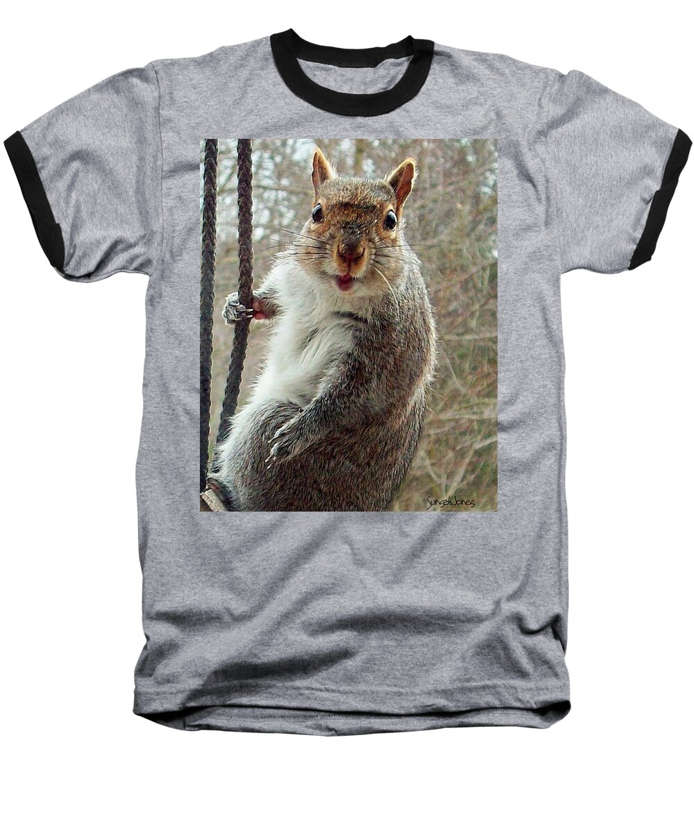 Squirrel Baseball T-Shirt featuring the photograph Earl The Squirrel by Robert Orinski