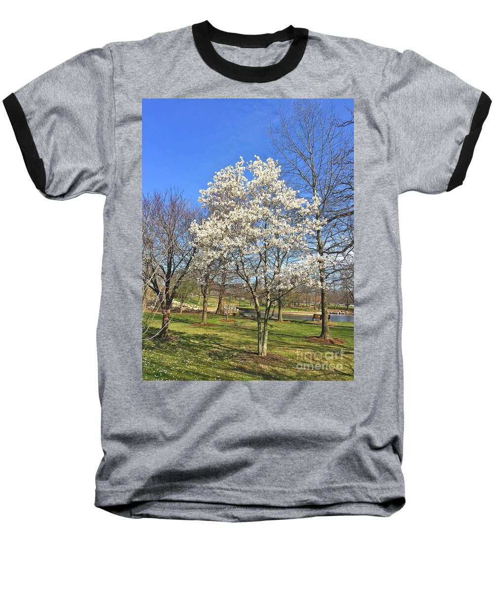 Nature Baseball T-Shirt featuring the photograph Early Arrival by Barbara Plattenburg
