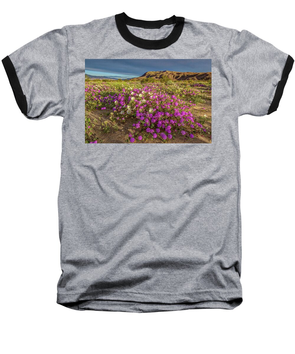 Anza-borrego Desert Baseball T-Shirt featuring the photograph Early Morning Light Super Bloom by Peter Tellone