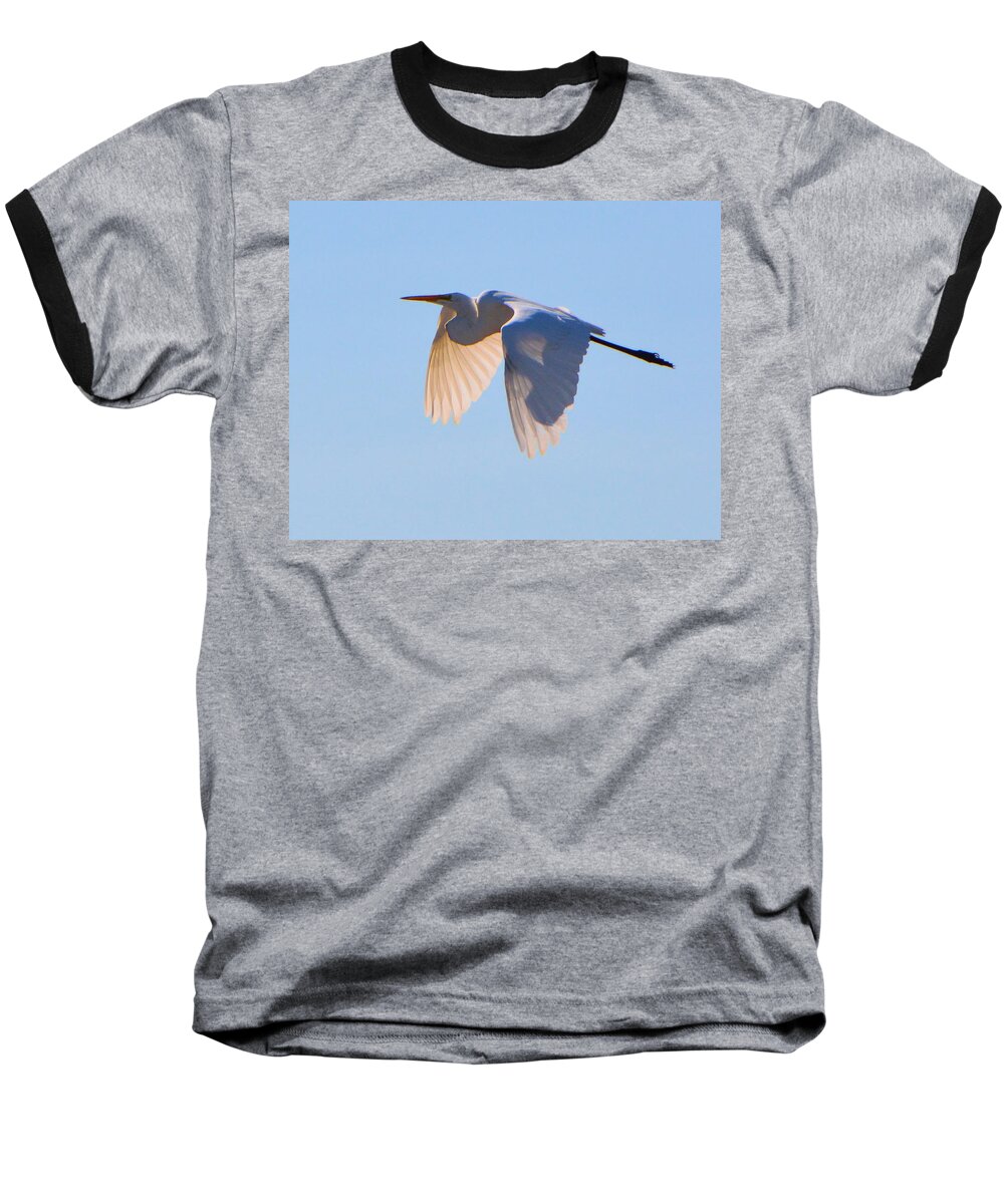 Egret Baseball T-Shirt featuring the photograph Egret in Silhouette by Josephine Buschman