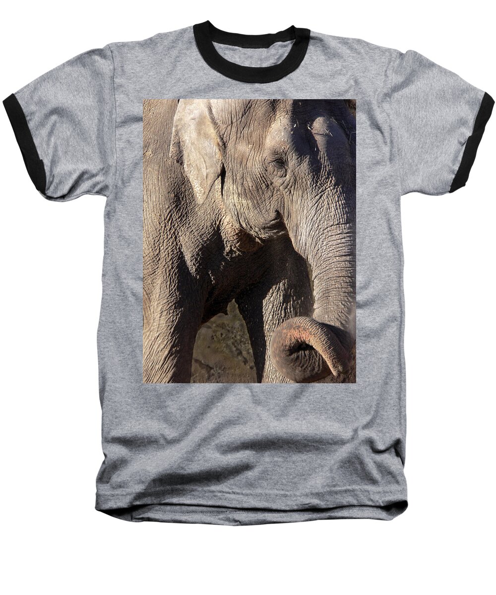 Elephant Baseball T-Shirt featuring the photograph Elephant by Steven Sparks