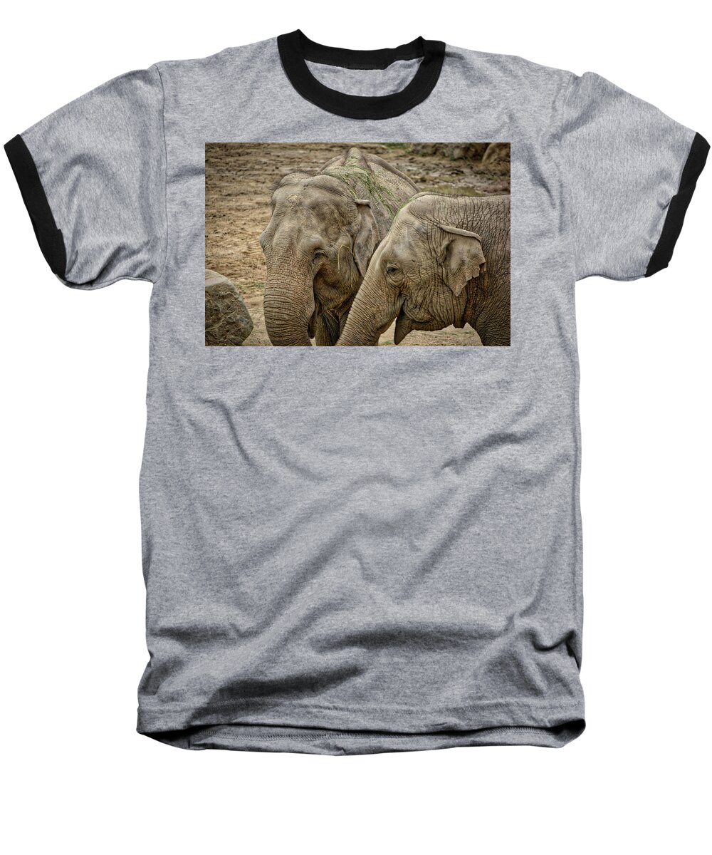 Wildlife Baseball T-Shirt featuring the photograph Elephants by Ingrid Dendievel