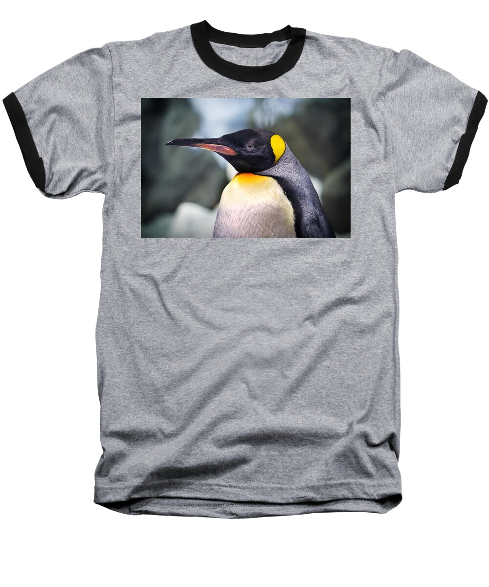 Birds Baseball T-Shirt featuring the photograph Emperor Penguin by Kym Clarke