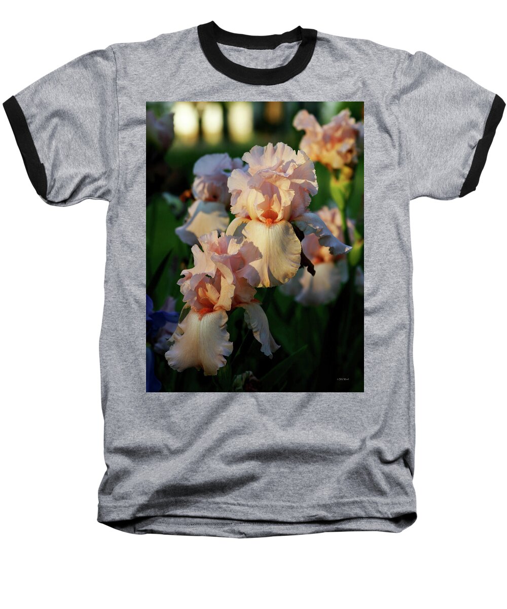 Impressionist Baseball T-Shirt featuring the photograph End of Day Pink Irises 6702 H_2 by Steven Ward