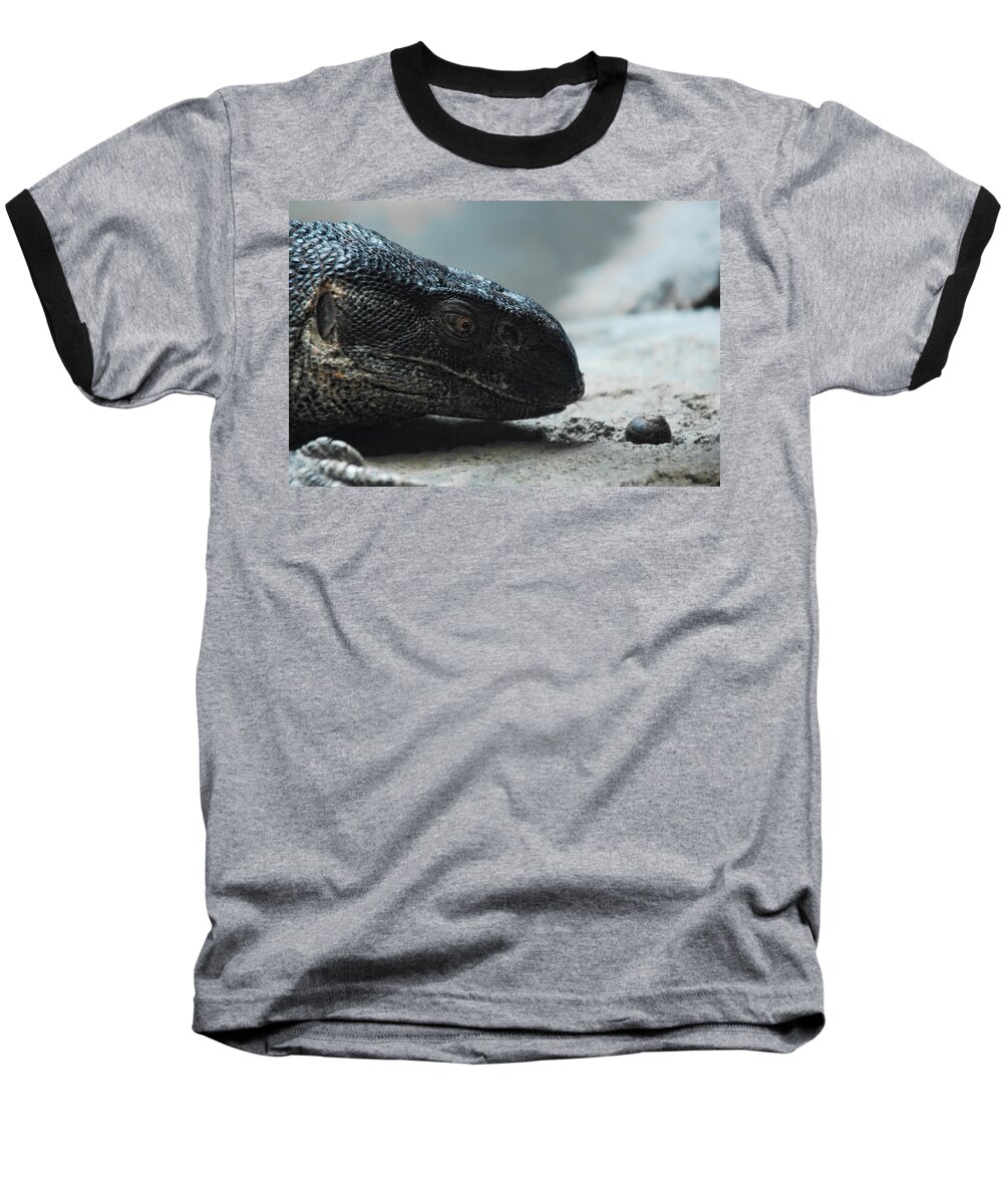 Lizard Baseball T-Shirt featuring the photograph Escargot by Donna Blackhall