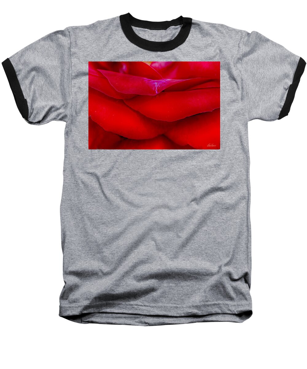 Essence Baseball T-Shirt featuring the photograph Essence Of Love by Diana Haronis