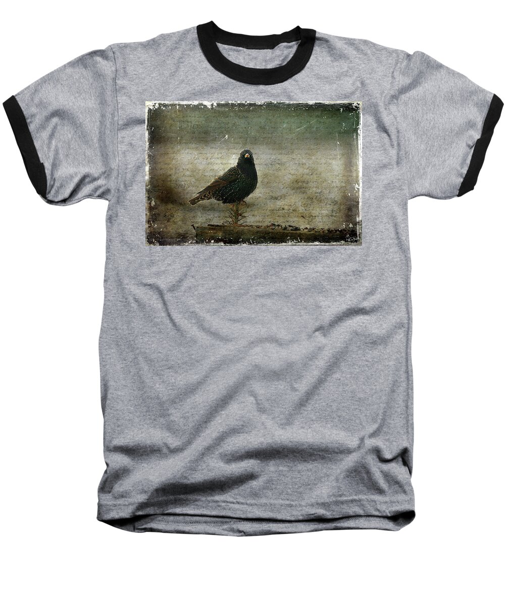 Cindi Ressler Baseball T-Shirt featuring the photograph European Starling by Cindi Ressler