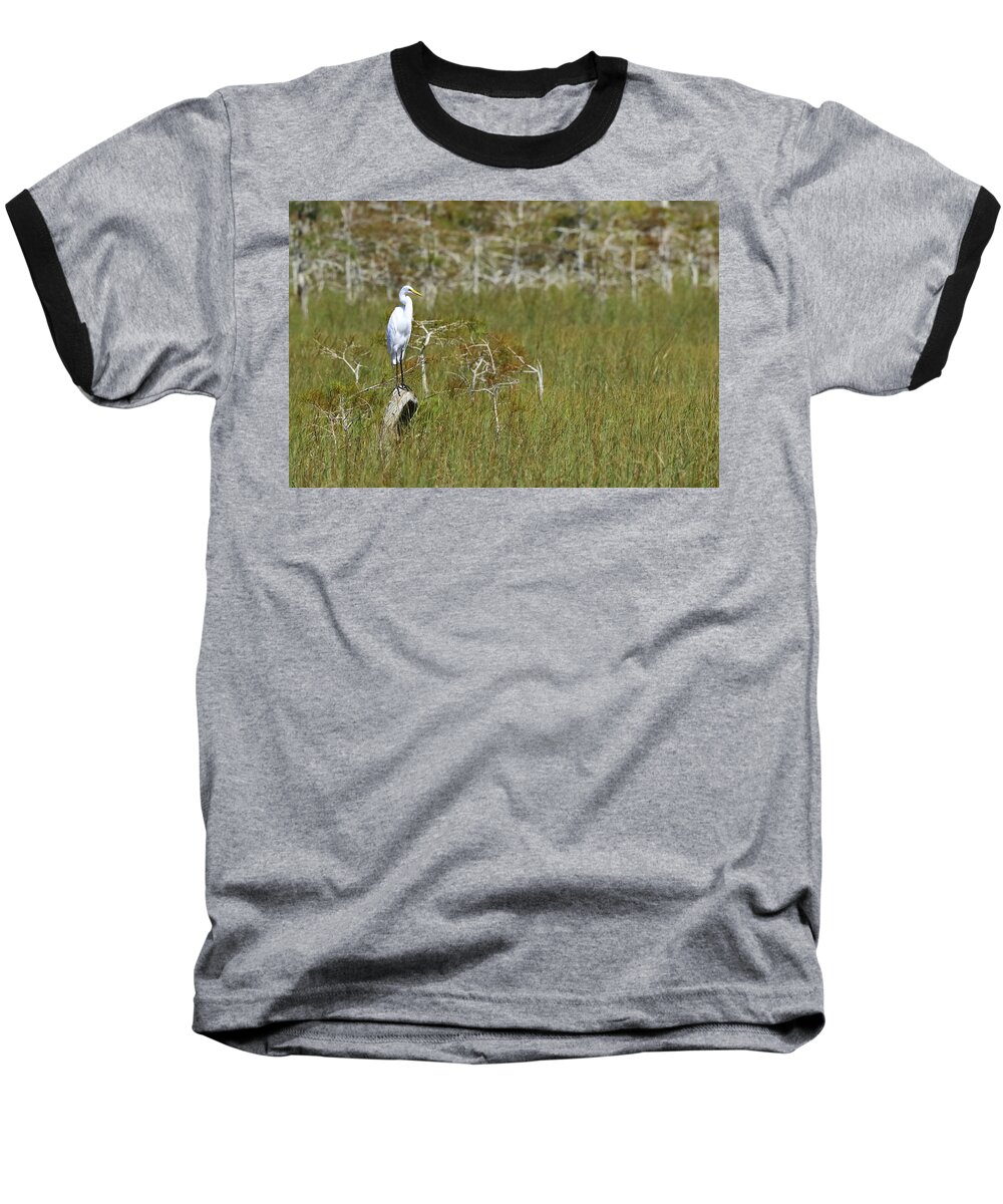 Everglades National Park Baseball T-Shirt featuring the photograph Everglades 451 by Michael Fryd