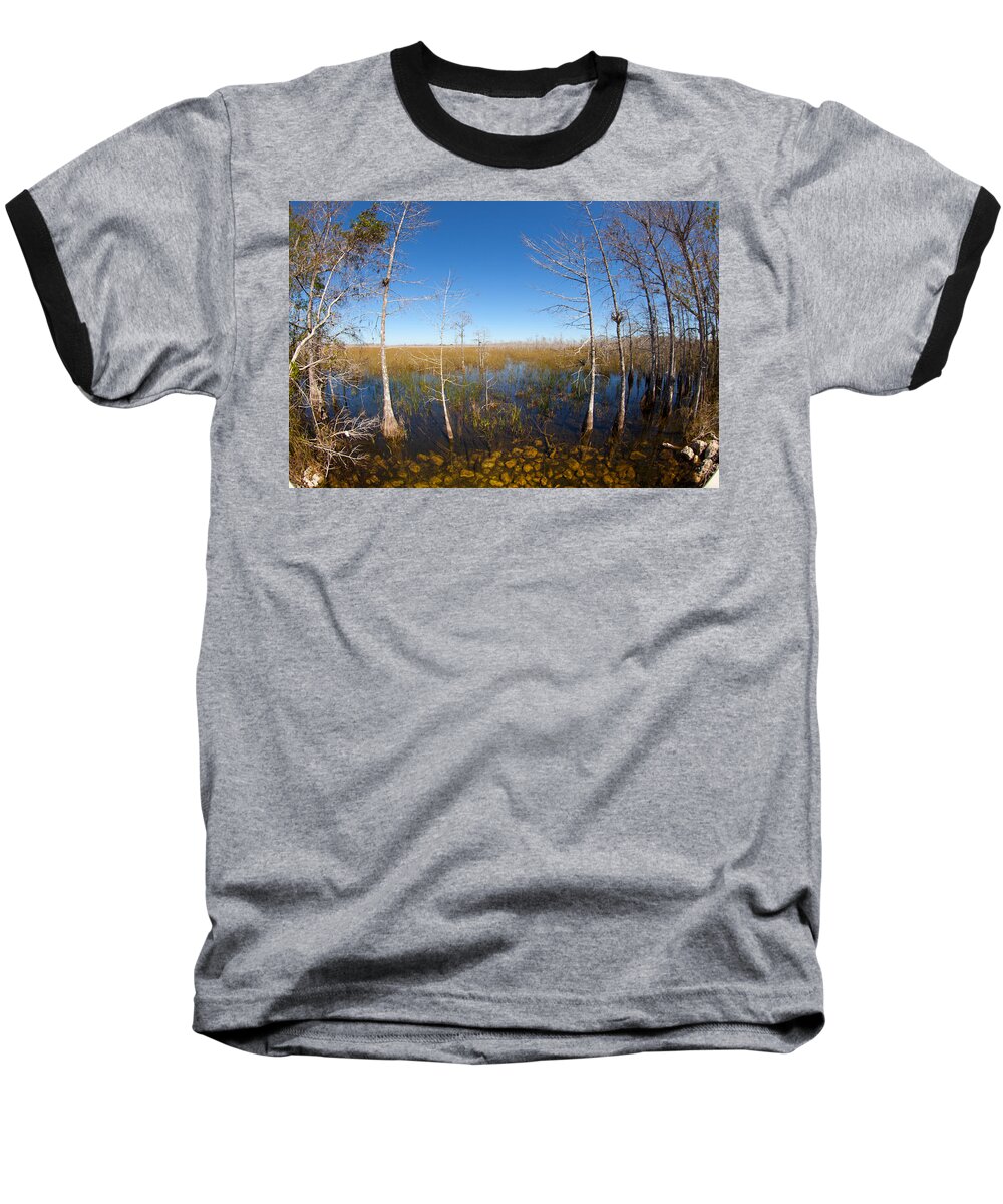 Everglades National Park Baseball T-Shirt featuring the photograph Everglades 85 by Michael Fryd
