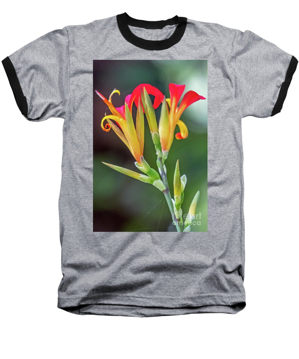Flowers Baseball T-Shirt featuring the photograph Exotic Flowers by Kate Brown