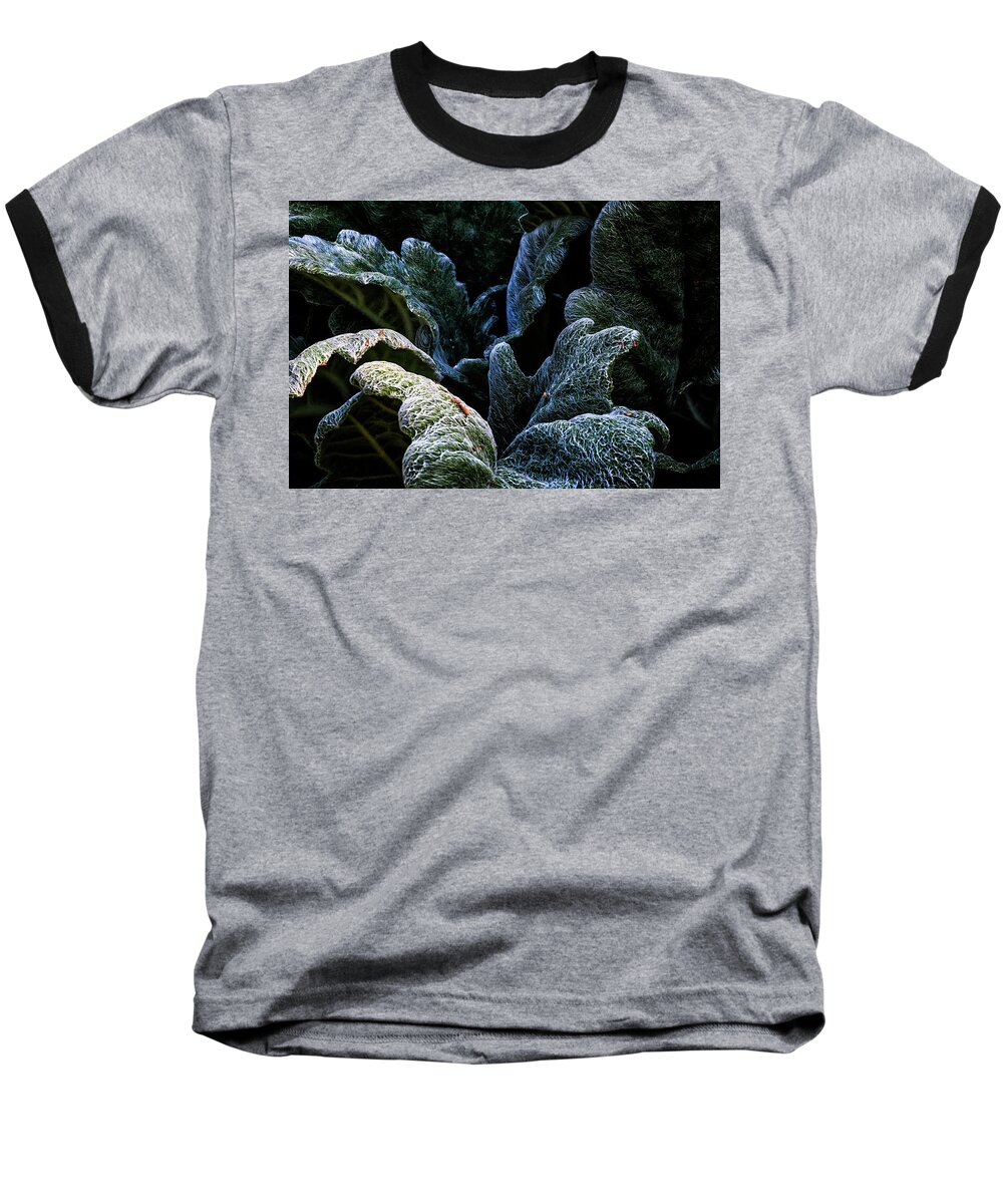 Plant Baseball T-Shirt featuring the photograph Experiencing green by Camille Lopez