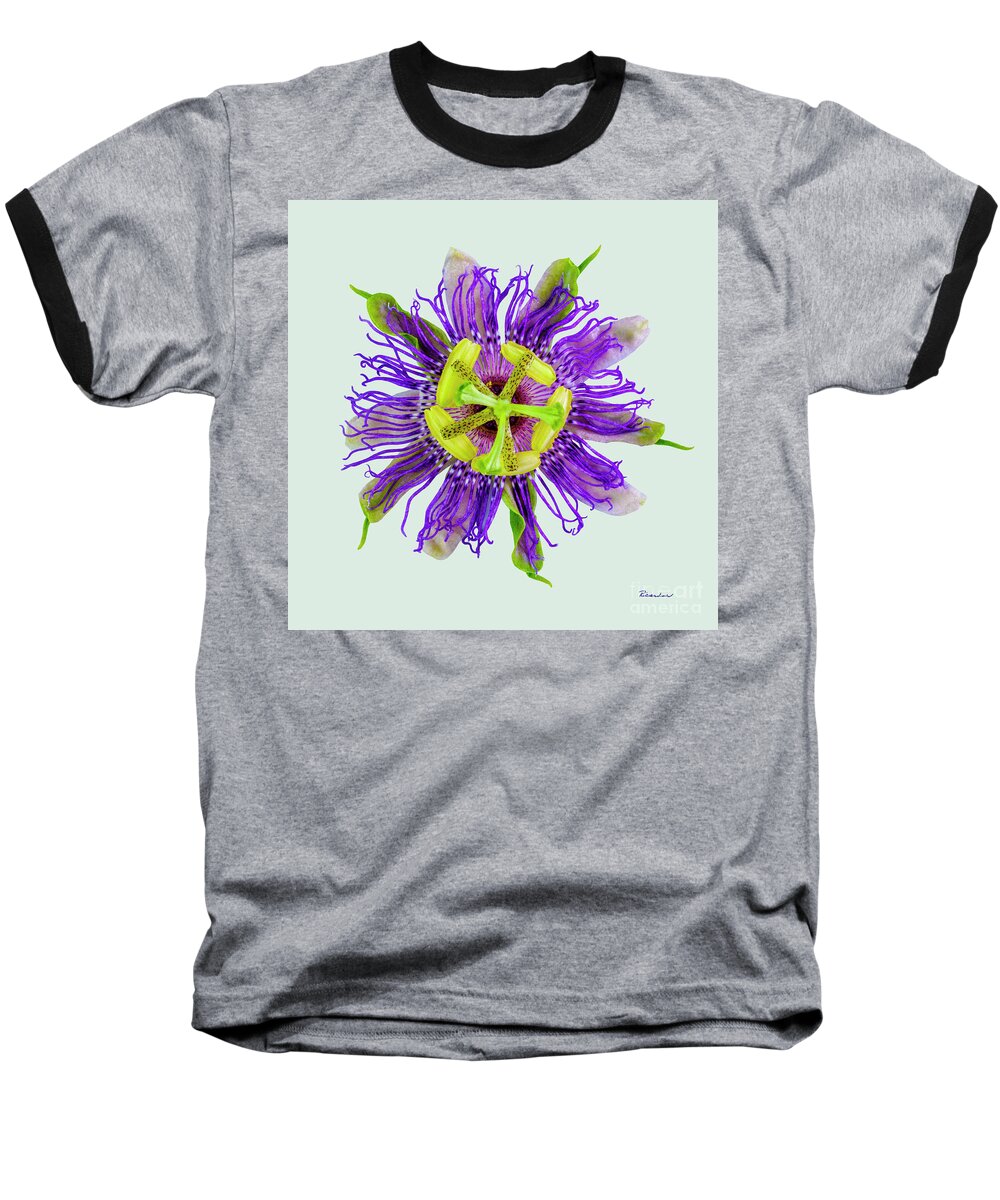 Expressive Baseball T-Shirt featuring the photograph Expressive Yellow Green and Violet Passion Flower 50674L by Ricardos Creations