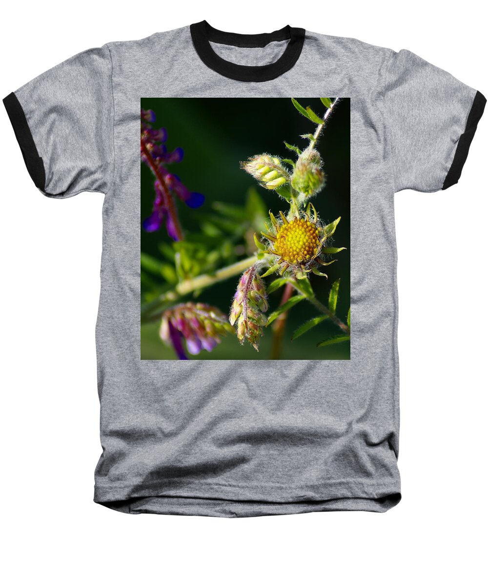 Flowers Baseball T-Shirt featuring the photograph Eye Candy from the Garden by Ben Upham III