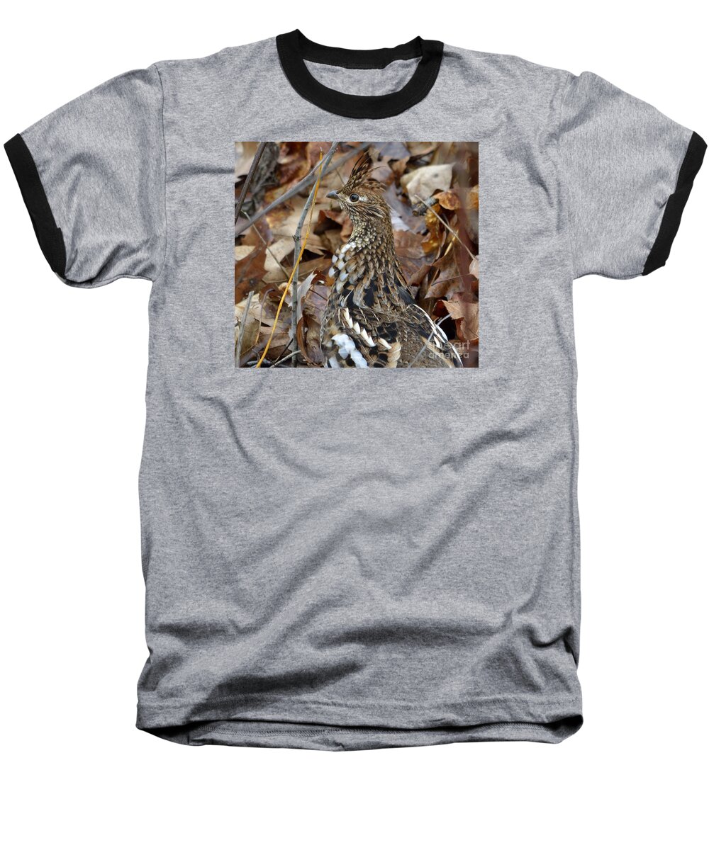 Game Birds Baseball T-Shirt featuring the photograph Eye of the RUGR by Randy Bodkins