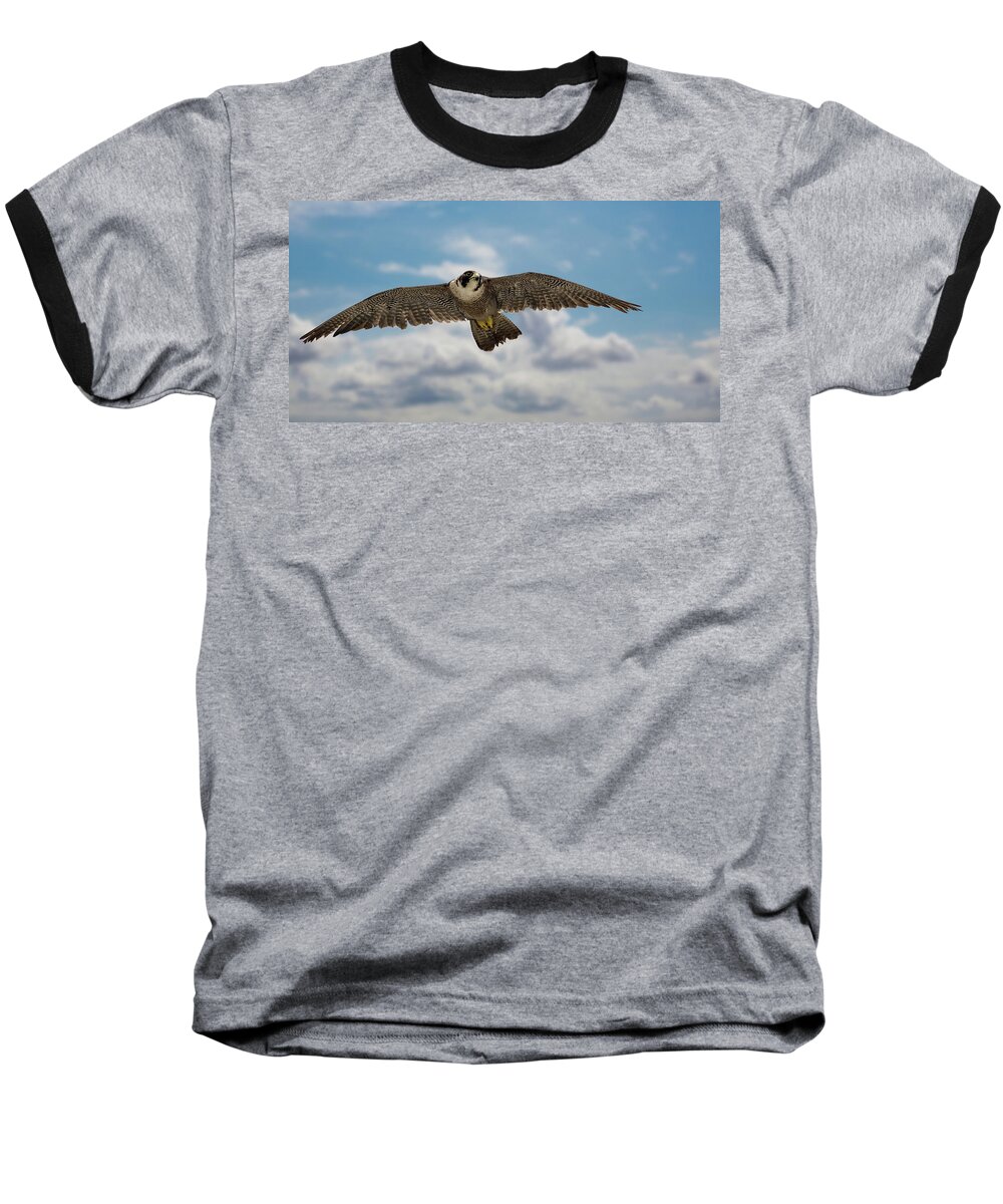Bird Baseball T-Shirt featuring the photograph Eyes in the sky by Bruce Bonnett