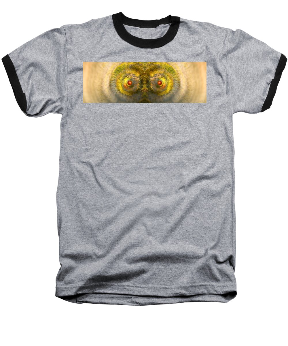 Panorama Baseball T-Shirt featuring the photograph Eyes of the Garden-1 by Doug Gibbons