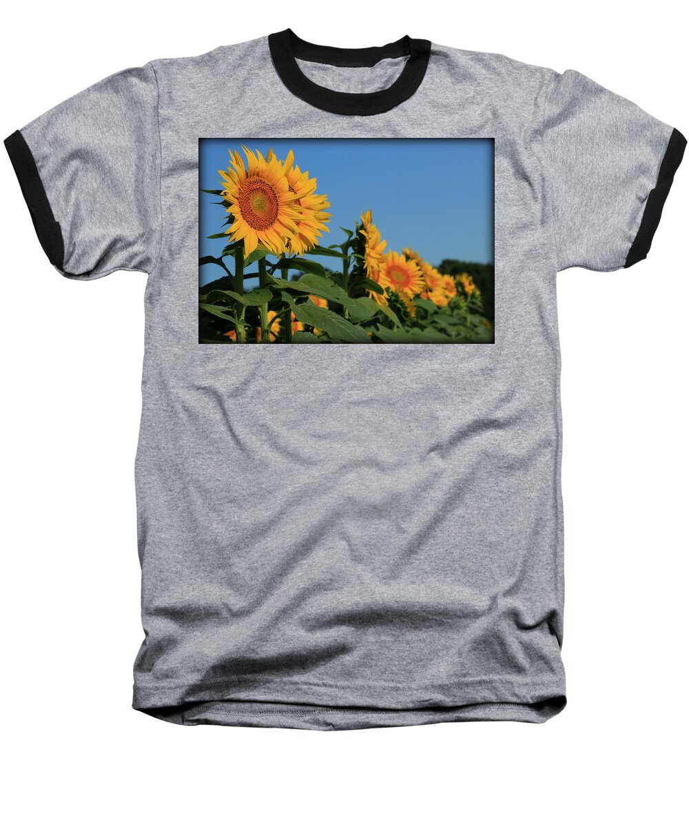 Grinter Baseball T-Shirt featuring the photograph Facing East by Chris Berry
