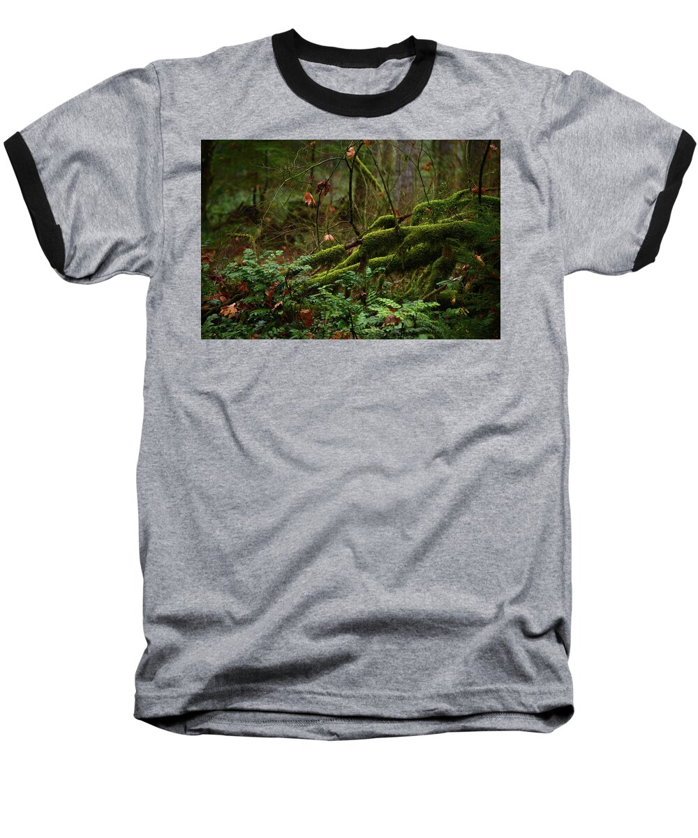 Fairies Baseball T-Shirt featuring the photograph Fairy Forest by Whispering Peaks Photography