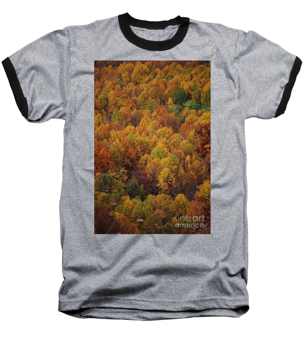 Fall Baseball T-Shirt featuring the photograph Fall Cluster by Eric Liller