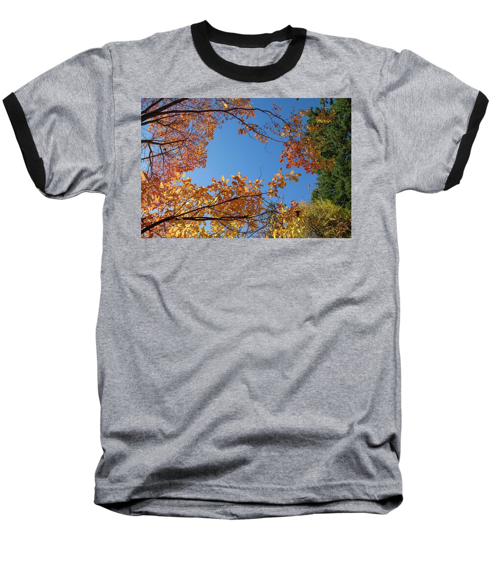 Hoyt Arboretum Portland Baseball T-Shirt featuring the photograph Fall colors in Hoyt Arboretum by Kunal Mehra