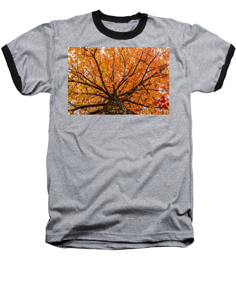 Autumn Baseball T-Shirt featuring the photograph Fall display by SAURAVphoto Online Store