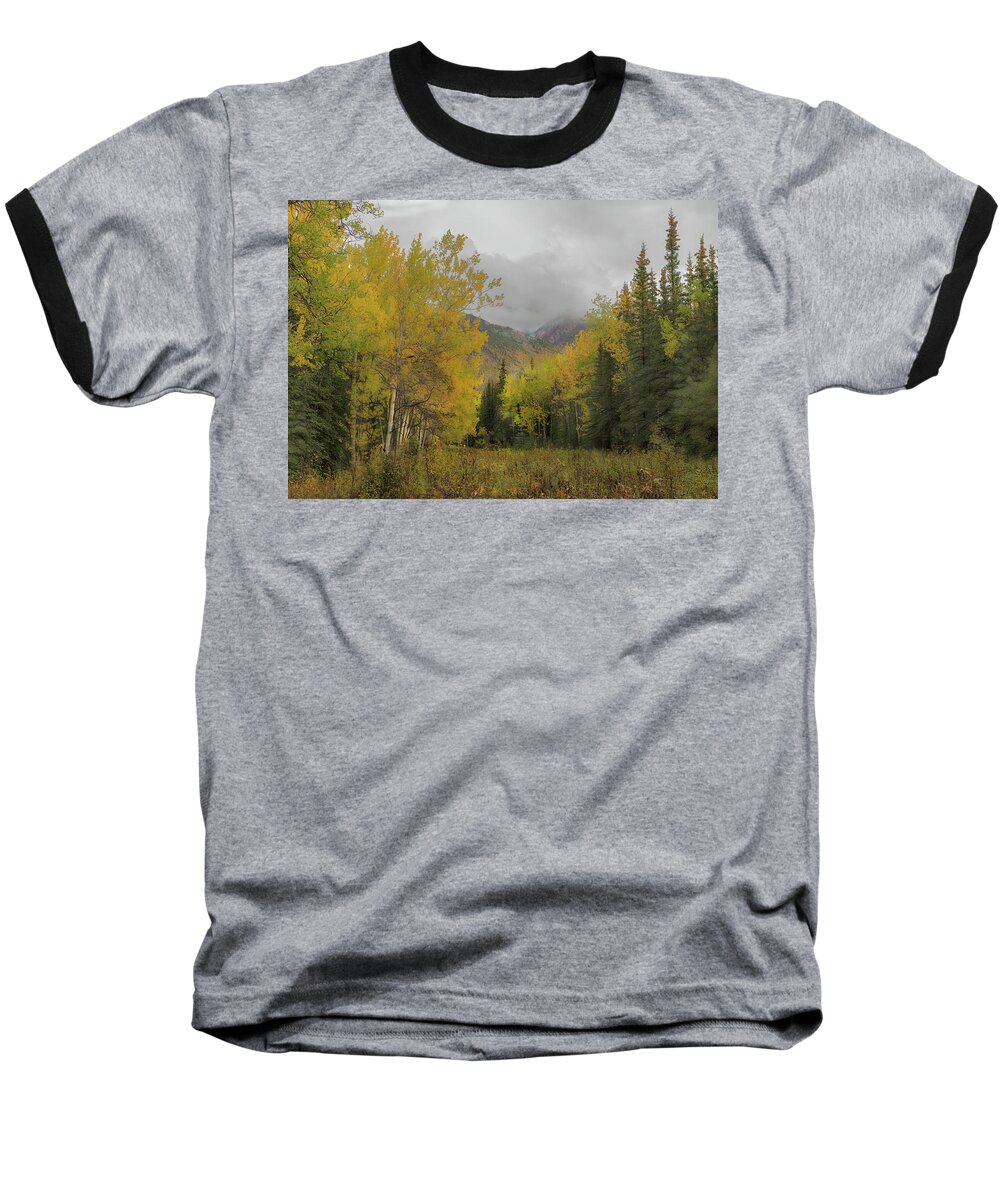 Trees Baseball T-Shirt featuring the photograph Fall Glow by Patricia Dennis