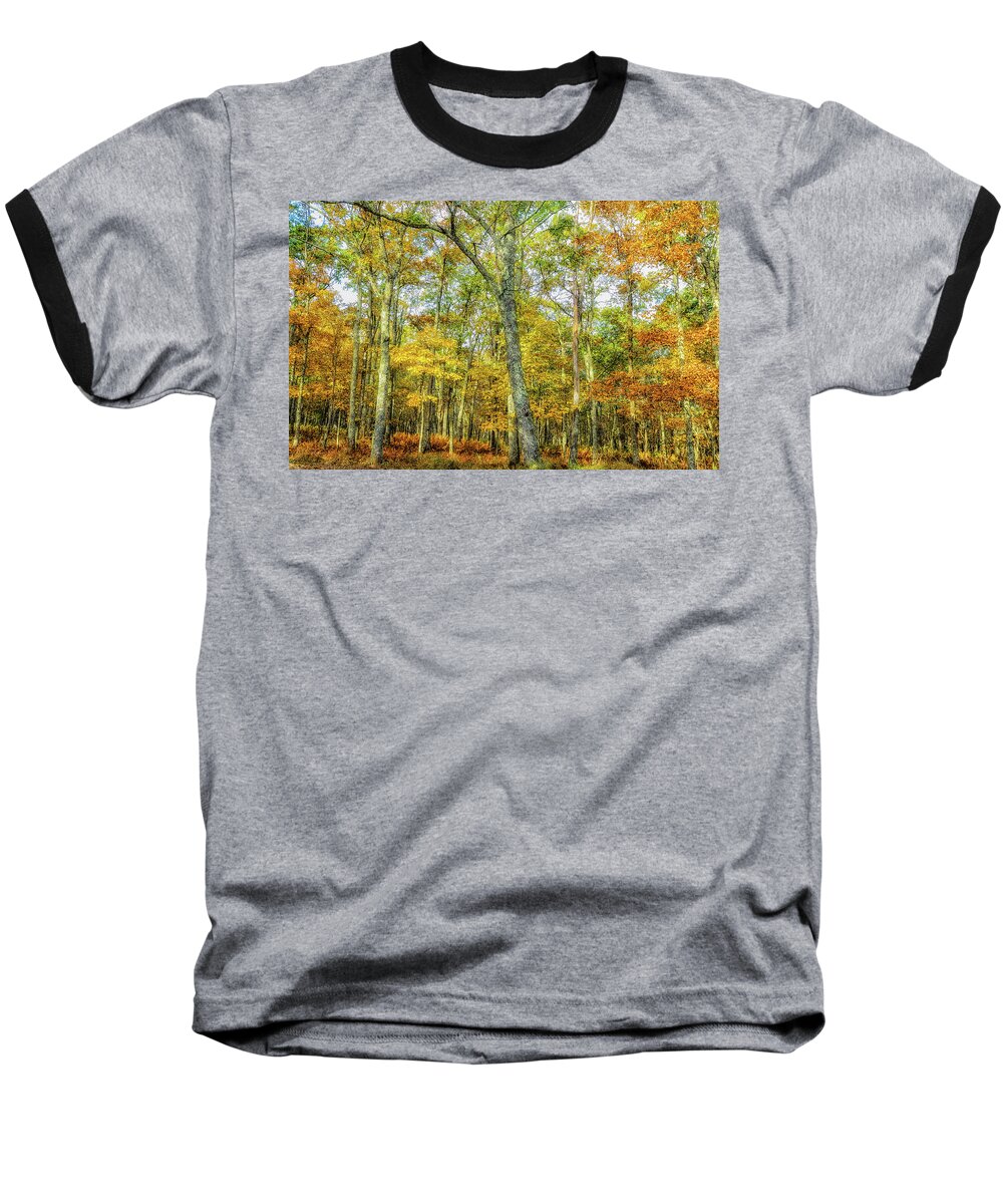 Landscape Baseball T-Shirt featuring the photograph Fall Yellow by Joe Shrader