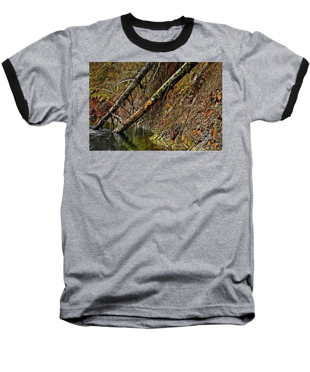 Riverscape Baseball T-Shirt featuring the photograph Fallen Friends 2 by Jason Brooks
