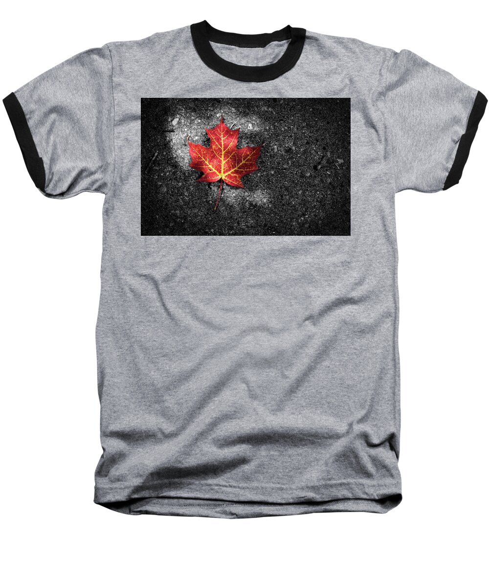 Photography Baseball T-Shirt featuring the photograph Fallen Leaf by Nicola Nobile